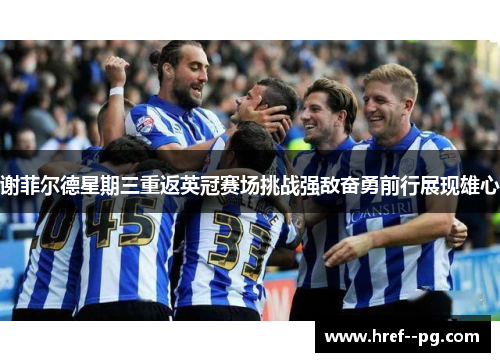 谢菲尔德星期三重返英冠赛场挑战强敌奋勇前行展现雄心